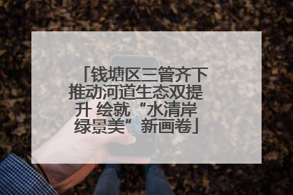 钱塘区三管齐下推动河道生态双提升 绘就“水清岸绿景美”新画卷
