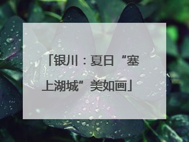 银川：夏日“塞上湖城”美如画