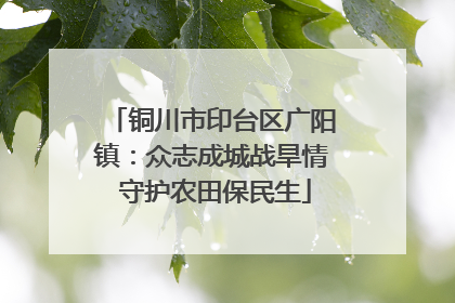 铜川市印台区广阳镇：众志成城战旱情 守护农田保民生