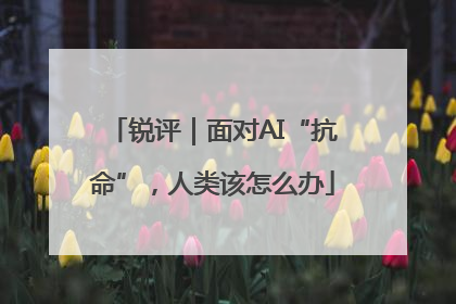 锐评｜面对AI“抗命”，人类该怎么办