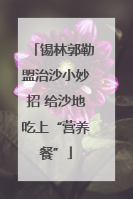 锡林郭勒盟治沙小妙招 给沙地吃上“营养餐”