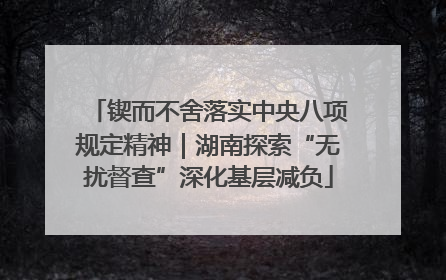 锲而不舍落实中央八项规定精神｜湖南探索“无扰督查”深化基层减负
