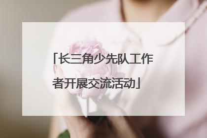 长三角少先队工作者开展交流活动