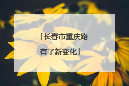 长春市重庆路有了新变化