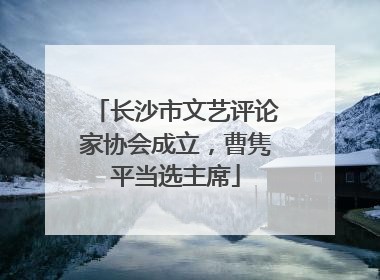 长沙市文艺评论家协会成立，曹隽平当选主席