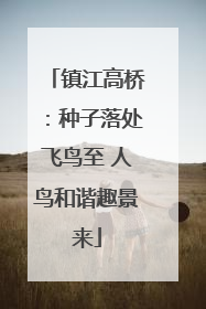 镇江高桥：种子落处飞鸟至 人鸟和谐趣景来