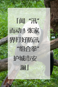 闻“汛”而动！张家界打好防汛“组合拳” 护城市安澜