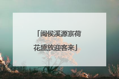 闽侯溪源寨荷花盛放迎客来