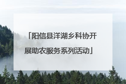 阳信县洋湖乡科协开展助农服务系列活动