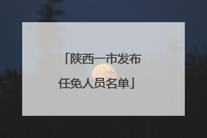 陕西一市发布任免人员名单