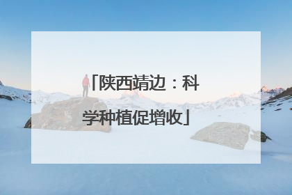 陕西靖边：科学种植促增收