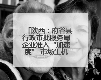 陕西：府谷县行政审批服务局企业准入“加速度” 市场生机“更盎然”
