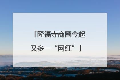 隆福寺商圈今起又多一“网红”