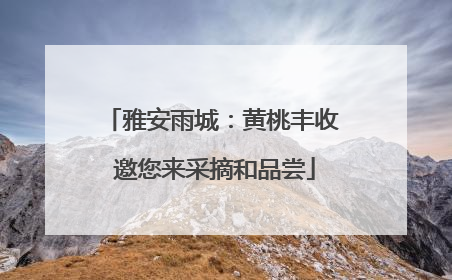 雅安雨城：黄桃丰收 邀您来采摘和品尝