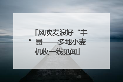 风吹麦浪好“丰”景——多地小麦机收一线见闻
