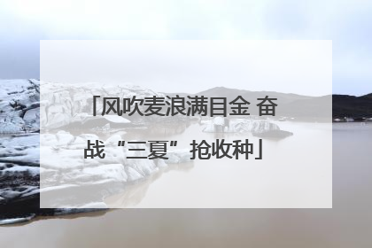 风吹麦浪满目金 奋战“三夏”抢收种