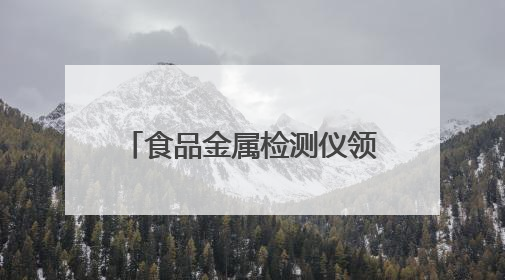 食品金属检测仪领域8家潜力企业：技术特色与发展前景