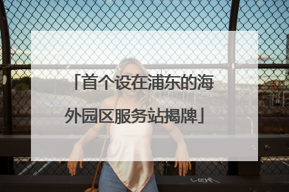 首个设在浦东的海外园区服务站揭牌