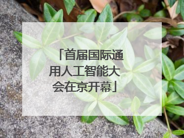 首届国际通用人工智能大会在京开幕