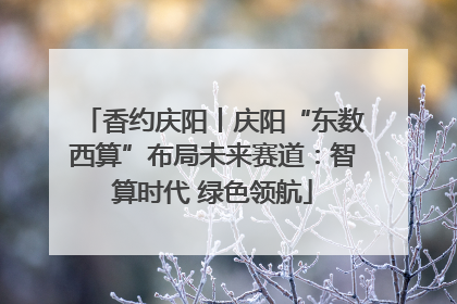 香约庆阳丨庆阳“东数西算”布局未来赛道：智算时代 绿色领航