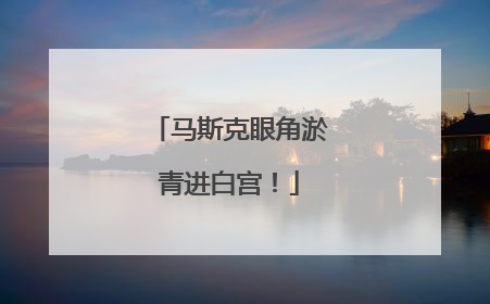 马斯克眼角淤青进白宫！