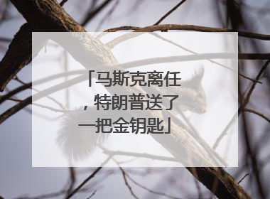 马斯克离任，特朗普送了一把金钥匙