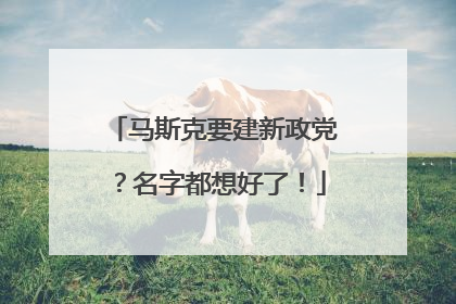 马斯克要建新政党？名字都想好了！