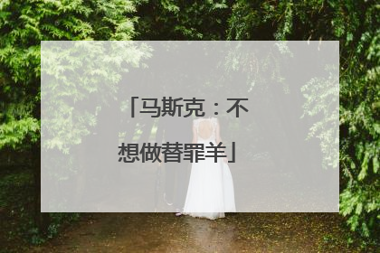 马斯克：不想做替罪羊