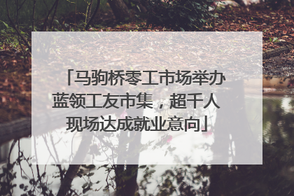 马驹桥零工市场举办蓝领工友市集，超千人现场达成就业意向