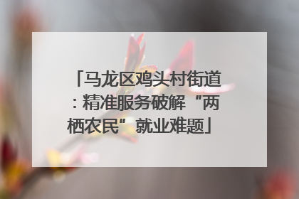 马龙区鸡头村街道：精准服务破解“两栖农民”就业难题