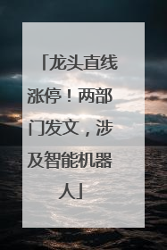 龙头直线涨停！两部门发文，涉及智能机器人