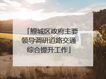 鲤城区政府主要领导调研道路交通综合提升工作