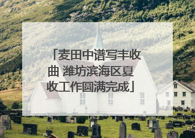 麦田中谱写丰收曲 潍坊滨海区夏收工作圆满完成