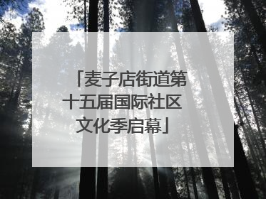 麦子店街道第十五届国际社区文化季启幕