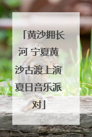 黄沙拥长河 宁夏黄沙古渡上演夏日音乐派对