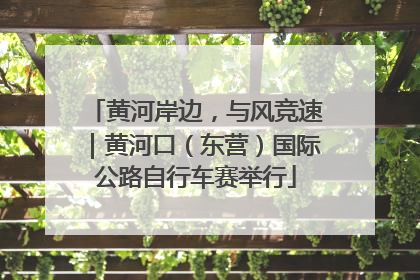 黄河岸边，与风竞速｜黄河口（东营）国际公路自行车赛举行