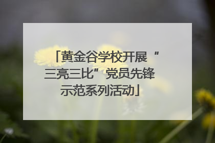 黄金谷学校开展“三亮三比”党员先锋示范系列活动