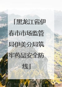 黑龙江省伊春市市场监管局伊美分局筑牢药品安全防线