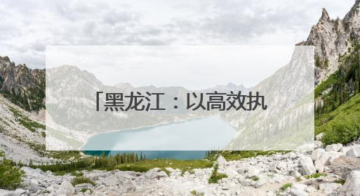 黑龙江：以高效执行守护“粮袋子”