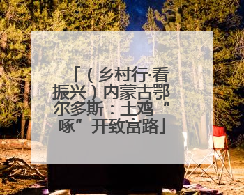 （乡村行·看振兴）内蒙古鄂尔多斯：土鸡“啄”开致富路