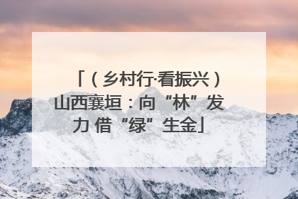 （乡村行·看振兴）山西襄垣：向“林”发力 借“绿”生金