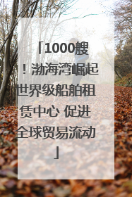 1000艘！渤海湾崛起世界级船舶租赁中心 促进全球贸易流动
