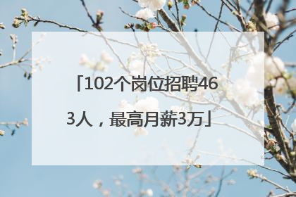 102个岗位招聘463人，最高月薪3万