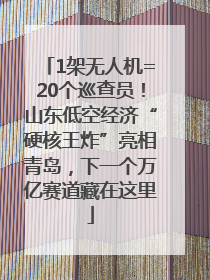 1架无人机=20个巡查员！山东低空经济“硬核王炸”亮相青岛，下一个万亿赛道藏在这里