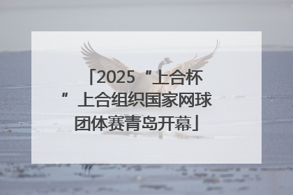 2025“上合杯”上合组织国家网球团体赛青岛开幕