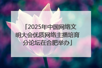 2025年中国网络文明大会优质网络主播培育分论坛在合肥举办