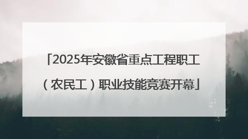 2025年安徽省重点工程职工（农民工）职业技能竞赛开幕