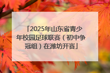 2025年山东省青少年校园足球联赛（初中争冠组）在潍坊开赛