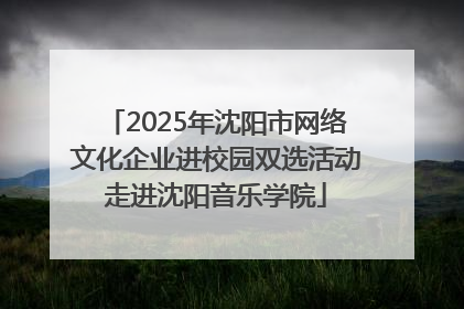 2025年沈阳市网络文化企业进校园双选活动走进沈阳音乐学院