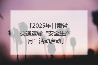 2025年甘肃省交通运输“安全生产月”活动启动